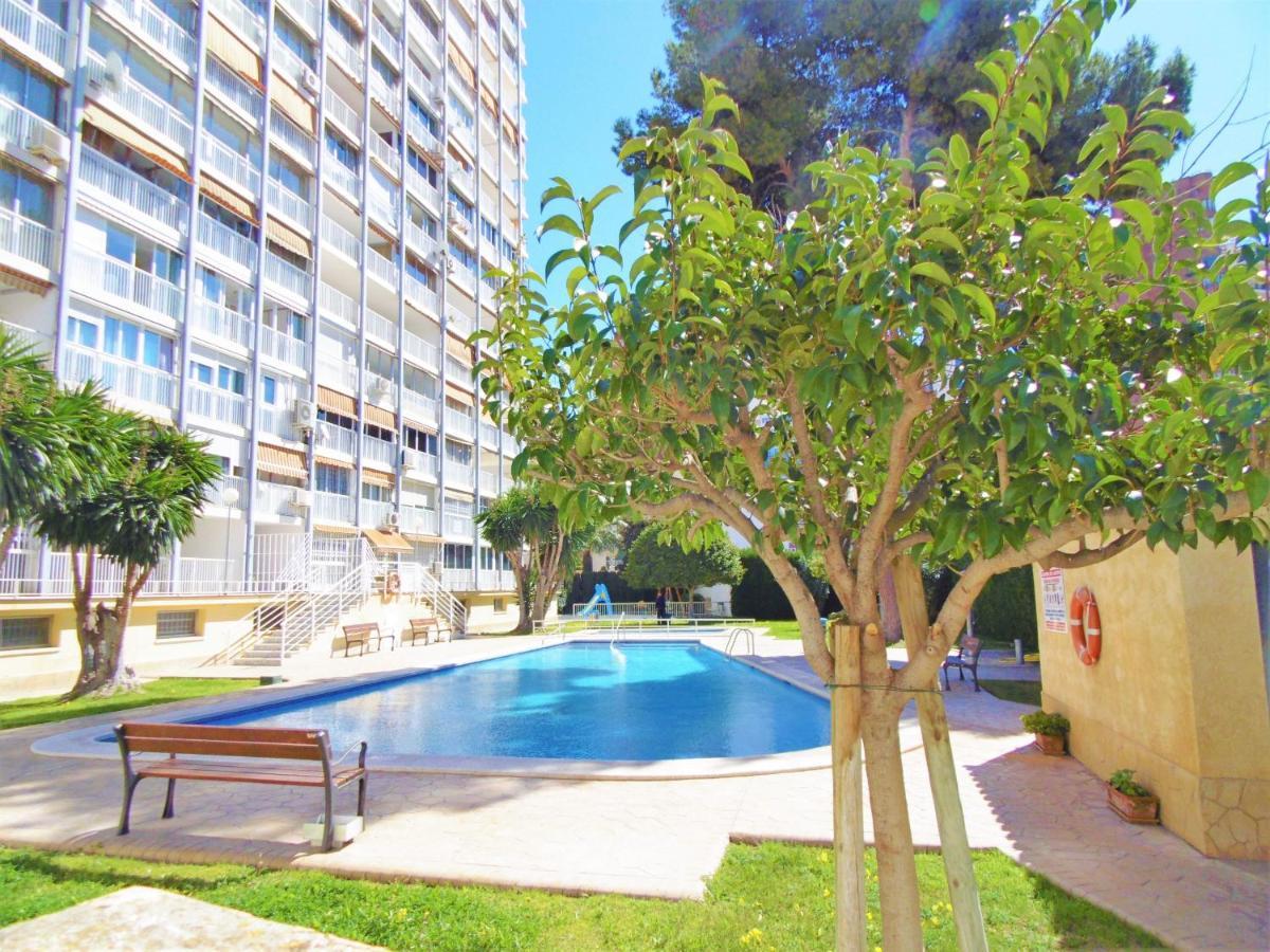Albatros 18-8 Apartment Benidorm Exterior photo
